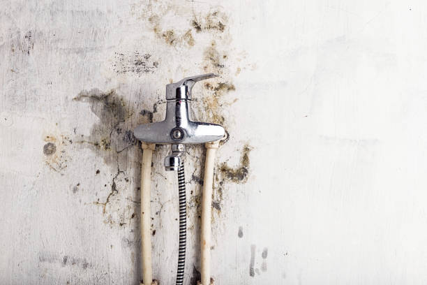 Best Water Damage Restoration  in Reform, AL